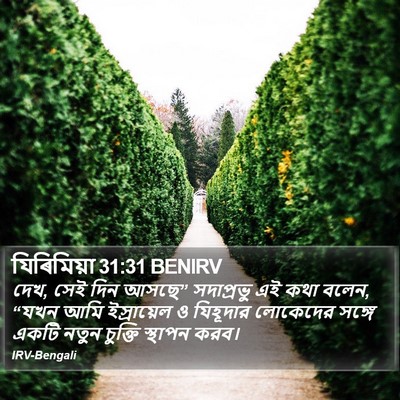 যিৰিমিয়া 31:31 BENIRV Bible Verse Image