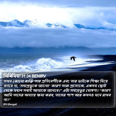 যিৰিমিয়া 31:34 BENIRV Bible Verse Image