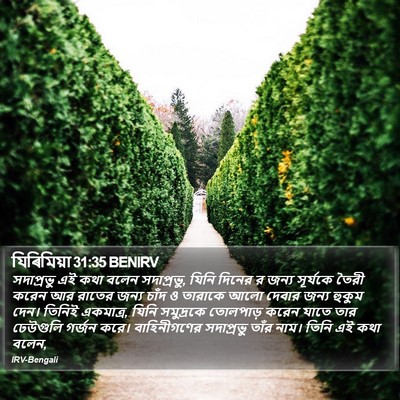 যিৰিমিয়া 31:35 BENIRV Bible Verse Image