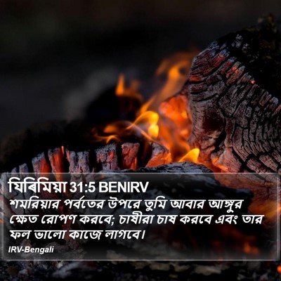 যিৰিমিয়া 31:5 BENIRV Bible Verse Image