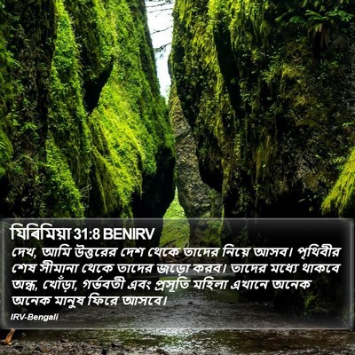 যিৰিমিয়া 31:8 BENIRV Bible Verse Image