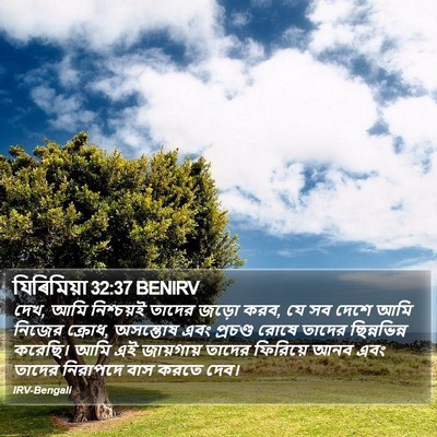 যিৰিমিয়া 32:37 BENIRV Bible Verse Image