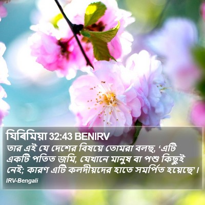 যিৰিমিয়া 32:43 BENIRV Bible Verse Image