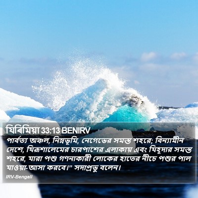 যিৰিমিয়া 33:13 BENIRV Bible Verse Image