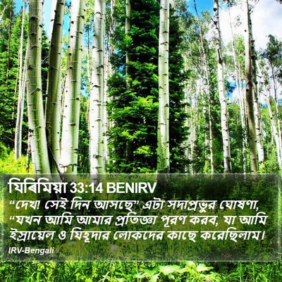 যিৰিমিয়া 33:14 BENIRV Bible Verse Image