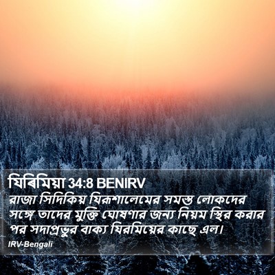 যিৰিমিয়া 34:8 BENIRV Bible Verse Image