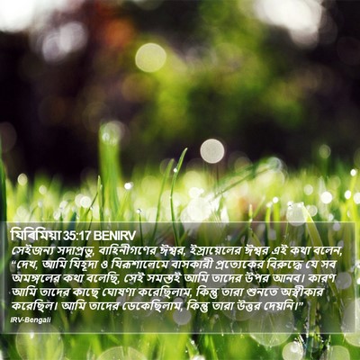যিৰিমিয়া 35:17 BENIRV Bible Verse Image