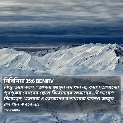 যিৰিমিয়া 35:6 BENIRV Bible Verse Image