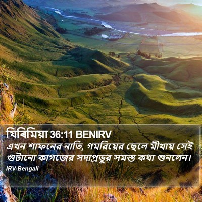 যিৰিমিয়া 36:11 BENIRV Bible Verse Image