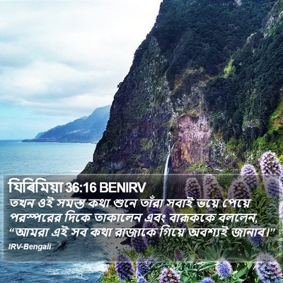 যিৰিমিয়া 36:16 BENIRV Bible Verse Image