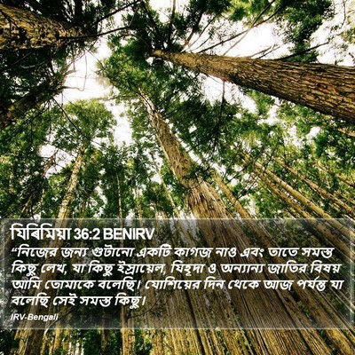যিৰিমিয়া 36:2 BENIRV Bible Verse Image