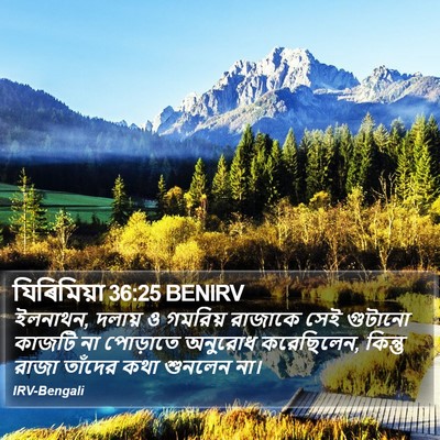 যিৰিমিয়া 36:25 BENIRV Bible Verse Image