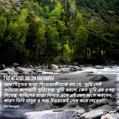 যিৰিমিয়া 36:29 BENIRV Bible Verse Image