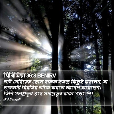 যিৰিমিয়া 36:8 BENIRV Bible Verse Image