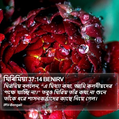 যিৰিমিয়া 37:14 BENIRV Bible Verse Image