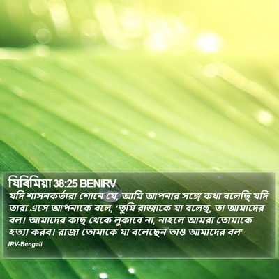 যিৰিমিয়া 38:25 BENIRV Bible Verse Image