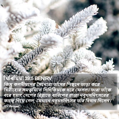 যিৰিমিয়া 39:5 BENIRV Bible Verse Image