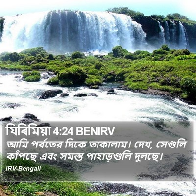 যিৰিমিয়া 4:24 BENIRV Bible Verse Image