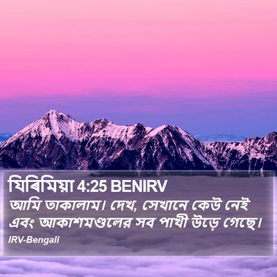 যিৰিমিয়া 4:25 BENIRV Bible Verse Image