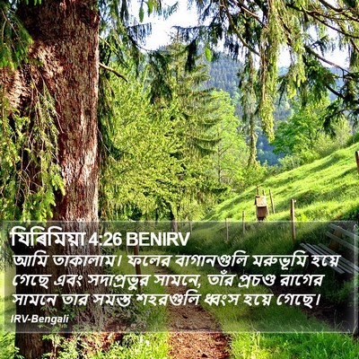 যিৰিমিয়া 4:26 BENIRV Bible Verse Image