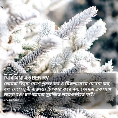 যিৰিমিয়া 4:5 BENIRV Bible Verse Image