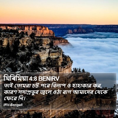 যিৰিমিয়া 4:8 BENIRV Bible Verse Image