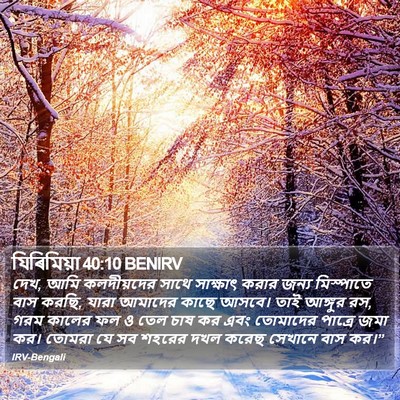 যিৰিমিয়া 40:10 BENIRV Bible Verse Image