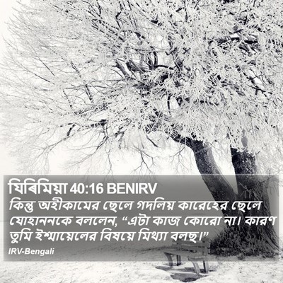 যিৰিমিয়া 40:16 BENIRV Bible Verse Image