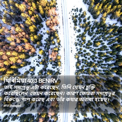 যিৰিমিয়া 40:3 BENIRV Bible Verse Image