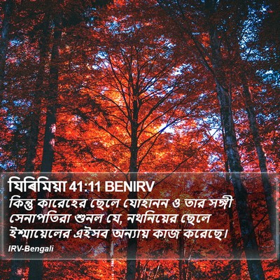 যিৰিমিয়া 41:11 BENIRV Bible Verse Image