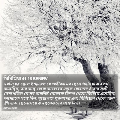যিৰিমিয়া 41:16 BENIRV Bible Verse Image