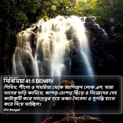 যিৰিমিয়া 41:5 BENIRV Bible Verse Image