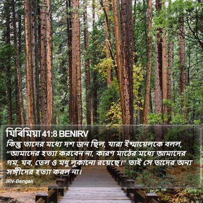 যিৰিমিয়া 41:8 BENIRV Bible Verse Image