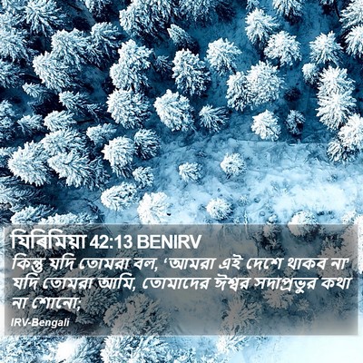 যিৰিমিয়া 42:13 BENIRV Bible Verse Image