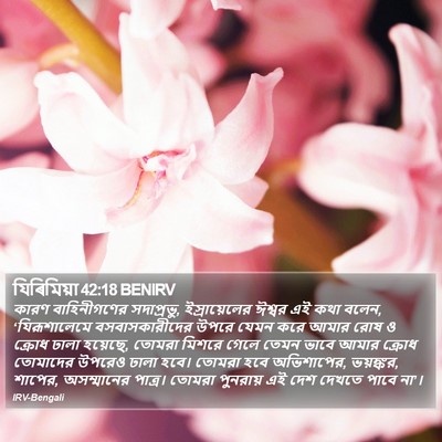 যিৰিমিয়া 42:18 BENIRV Bible Verse Image