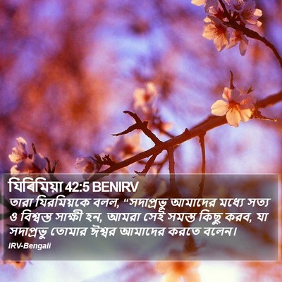 যিৰিমিয়া 42:5 BENIRV Bible Verse Image