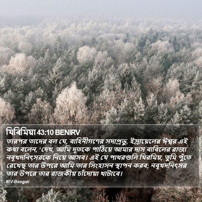 যিৰিমিয়া 43:10 BENIRV Bible Verse Image