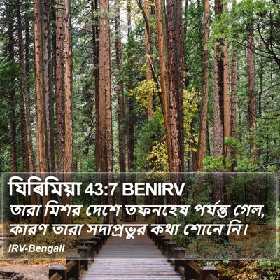 যিৰিমিয়া 43:7 BENIRV Bible Verse Image
