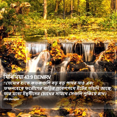 যিৰিমিয়া 43:9 BENIRV Bible Verse Image