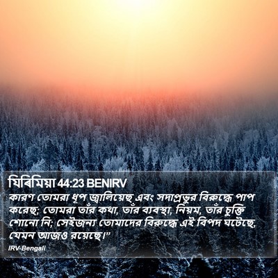 যিৰিমিয়া 44:23 BENIRV Bible Verse Image