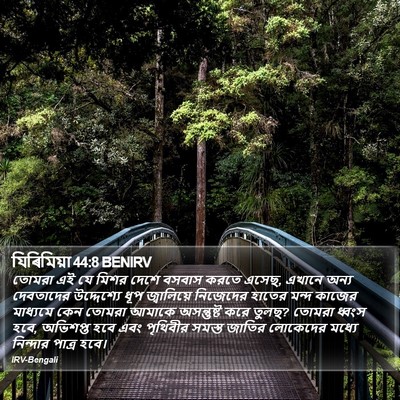 যিৰিমিয়া 44:8 BENIRV Bible Verse Image
