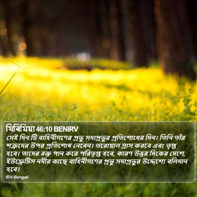 যিৰিমিয়া 46:10 BENIRV Bible Verse Image
