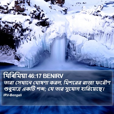 যিৰিমিয়া 46:17 BENIRV Bible Verse Image