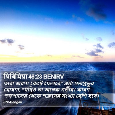 যিৰিমিয়া 46:23 BENIRV Bible Verse Image