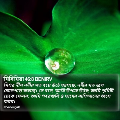 যিৰিমিয়া 46:8 BENIRV Bible Verse Image