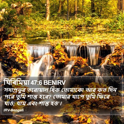 যিৰিমিয়া 47:6 BENIRV Bible Verse Image