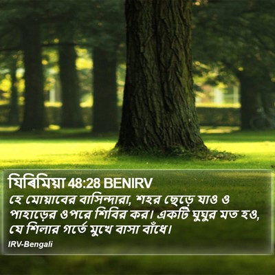 যিৰিমিয়া 48:28 BENIRV Bible Verse Image