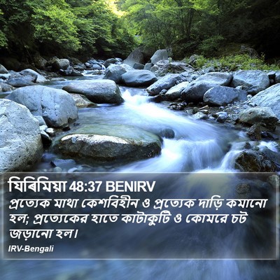যিৰিমিয়া 48:37 BENIRV Bible Verse Image