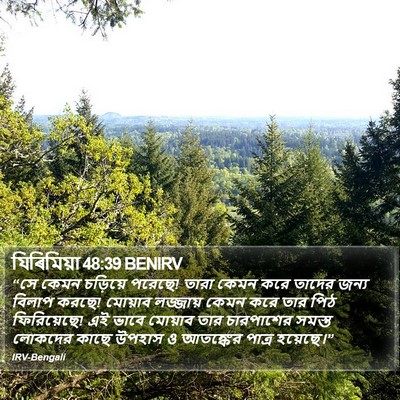 যিৰিমিয়া 48:39 BENIRV Bible Verse Image