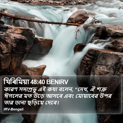 যিৰিমিয়া 48:40 BENIRV Bible Verse Image